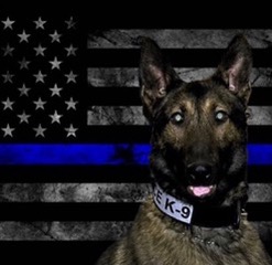 Retired Police Canine Foundation